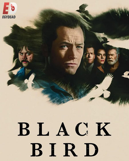 Black Bird