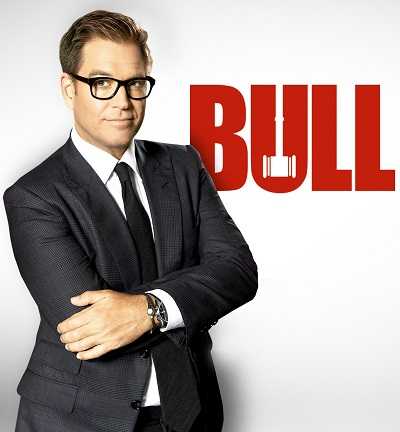 Bull