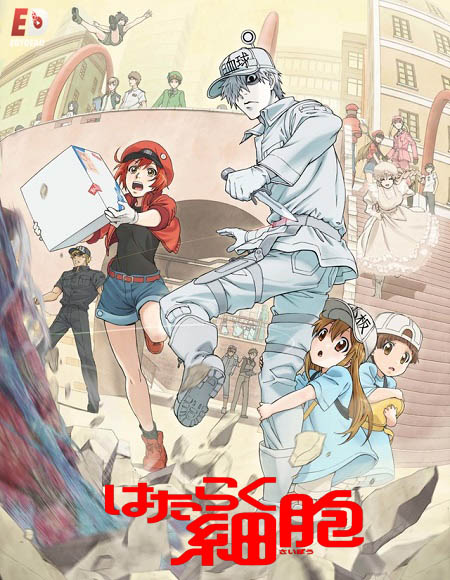 Cells at Work