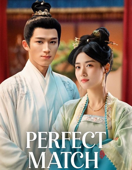 الزوج المثالي Perfect Match
