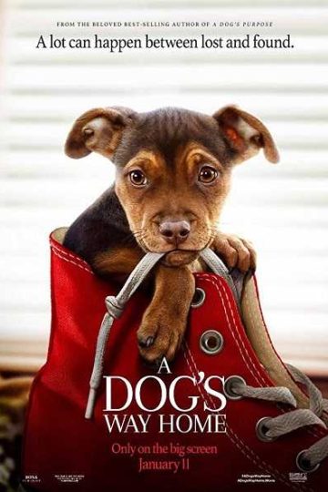 A Dog’s Way Home 2019 BluRay