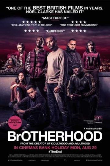 Brotherhood ( 2016 )