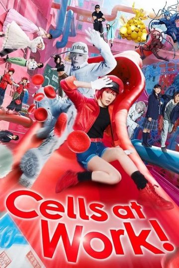 Cells at Work ( 2024 )