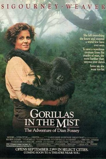 Gorillas in the Mist ( 1988 )