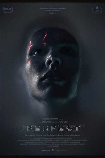 Perfect ( 2018 )