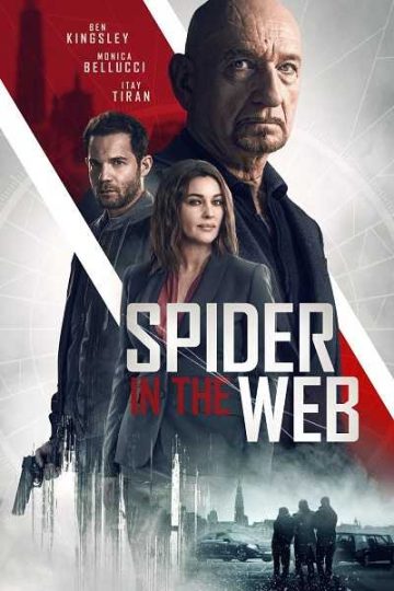 Spider in the Web ( 2019 )