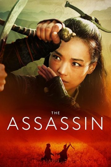 The Assassin ( 2015 )
