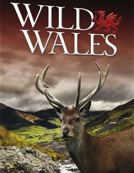 Wild Wales