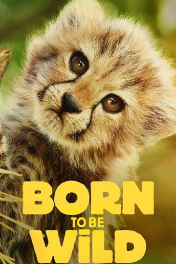 Born to be Wild الموسم الأول 1 الحلقة 2